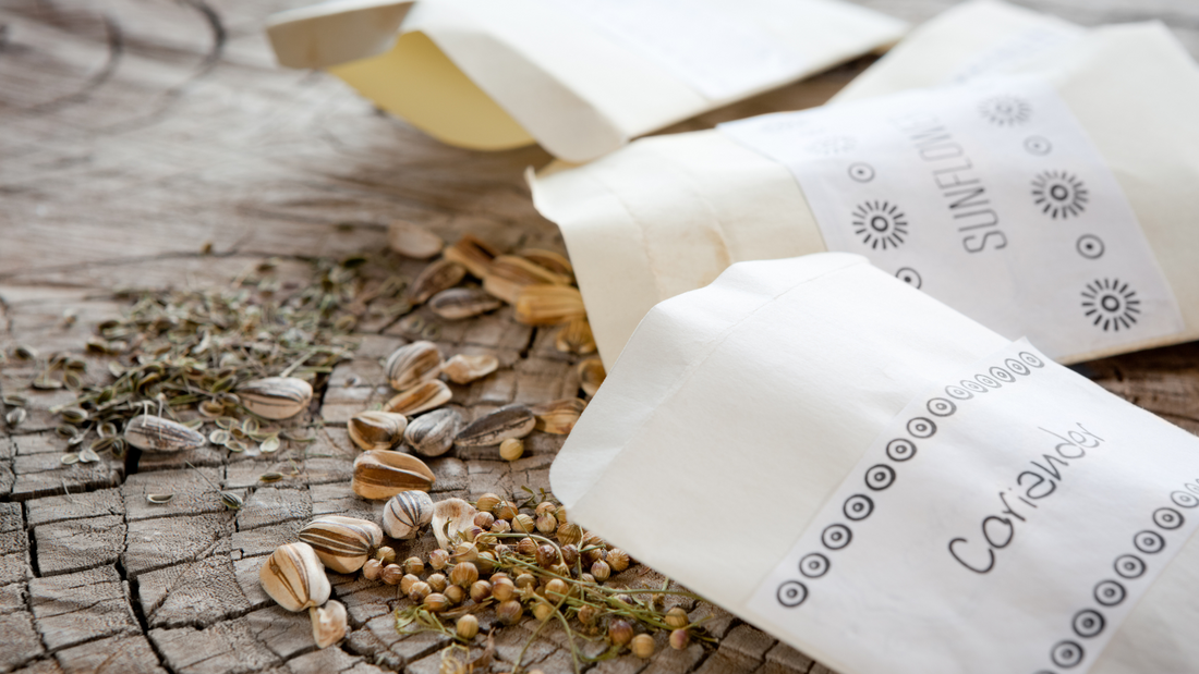 How to Plan a Celebration of Life