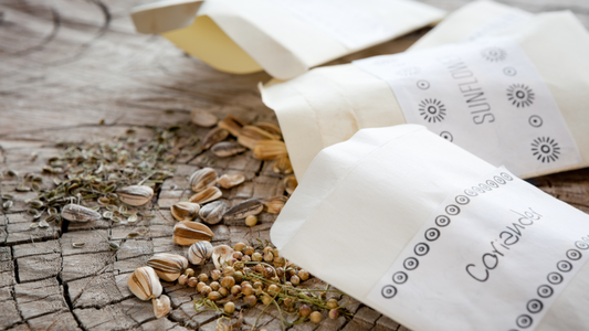 How to Plan a Celebration of Life