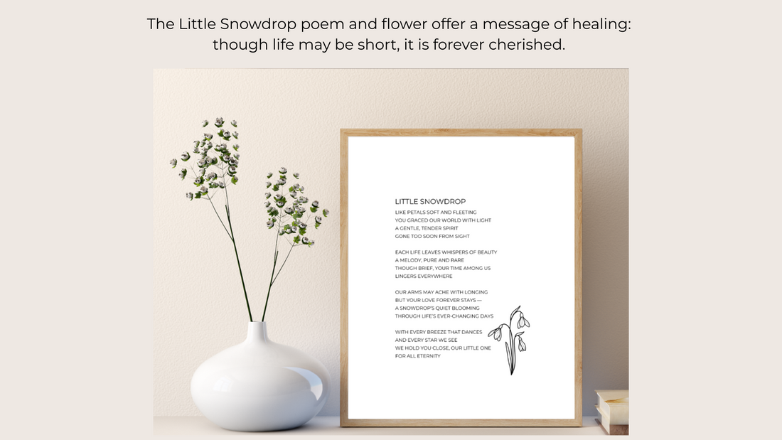 The Meaning Behind ‘Little Snowdrop’ and Why It Brings Comfort in Baby Loss