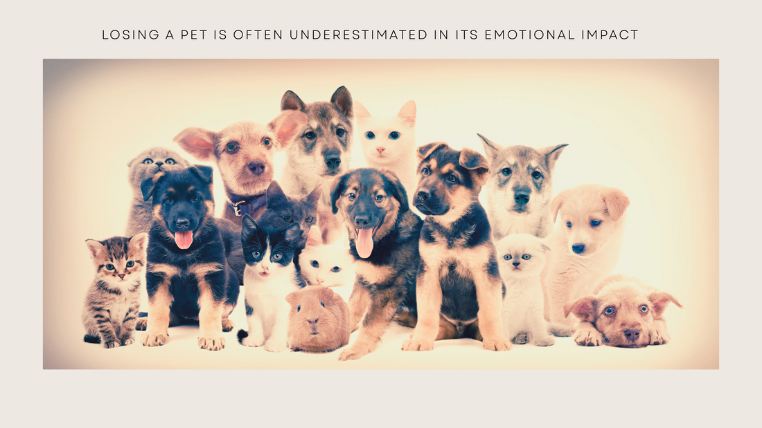 The Deep Grief of Losing a Pet — And Why It Matters