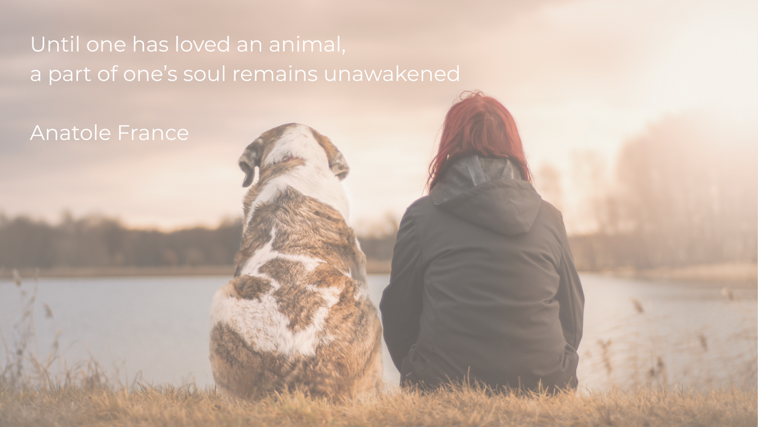 A Love Without Words – The Bond Between Human and Animal