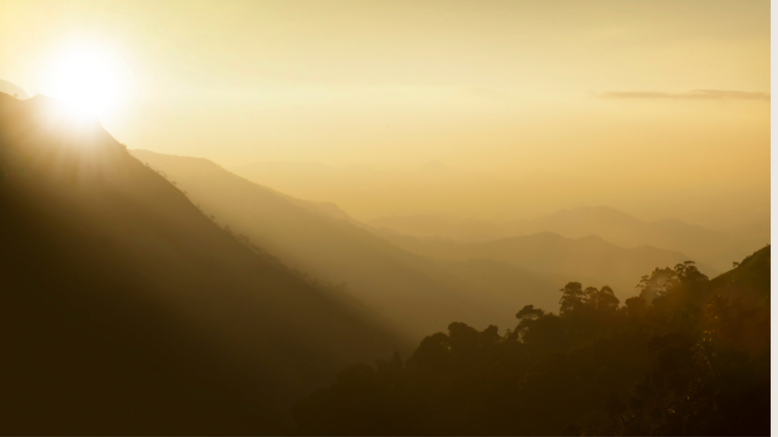 What If Death Deepens Life?